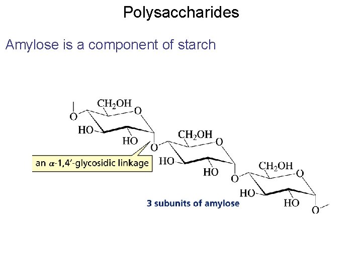 Polysaccharides Amylose is a component of starch Polysaccharides Amylose is a component of starch