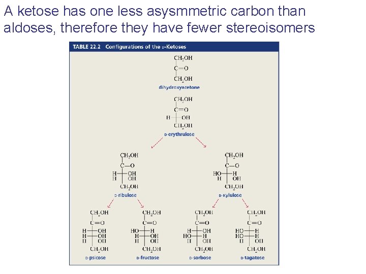 A ketose has one less asysmmetric carbon than aldoses, therefore they have fewer stereoisomers A ketose has one less asysmmetric carbon than aldoses, therefore they have fewer stereoisomers