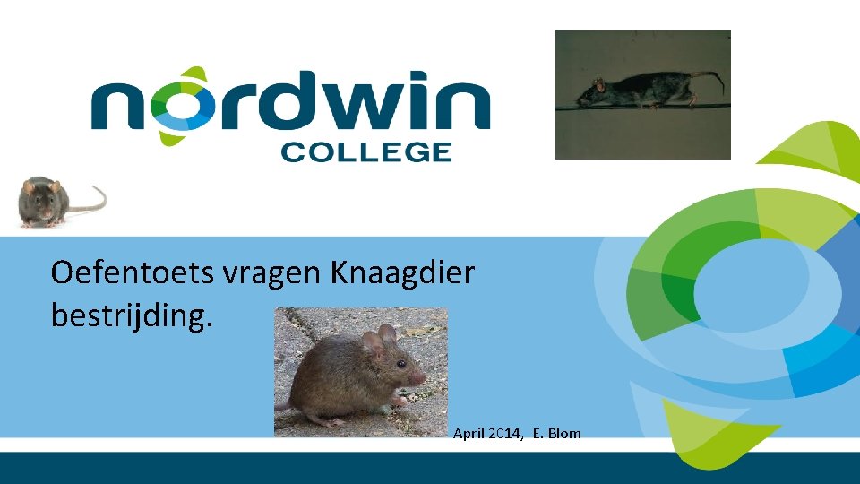 Oefentoets vragen Knaagdier bestrijding. April 2014, E. Blom 