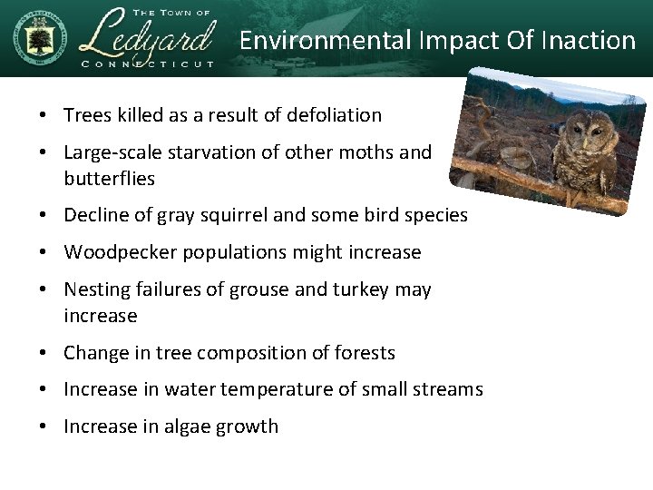 Environmental Impact Of Inaction • Trees killed as a result of defoliation • Large-scale