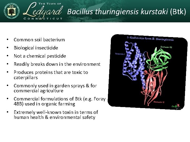 Bacillus thuringiensis kurstaki (Btk) • Common soil bacterium • Biological insecticide • Not a