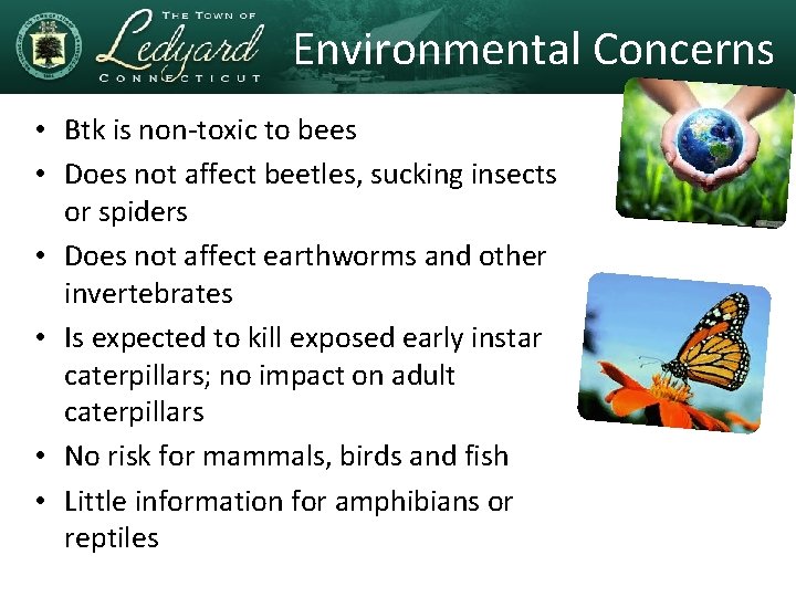 Environmental Concerns • Btk is non-toxic to bees • Does not affect beetles, sucking