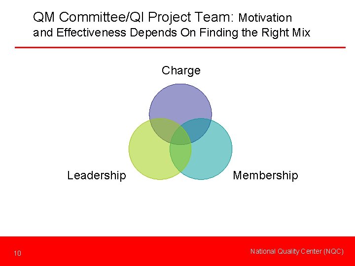 QM Committee/QI Project Team: Motivation and Effectiveness Depends On Finding the Right Mix Leadership