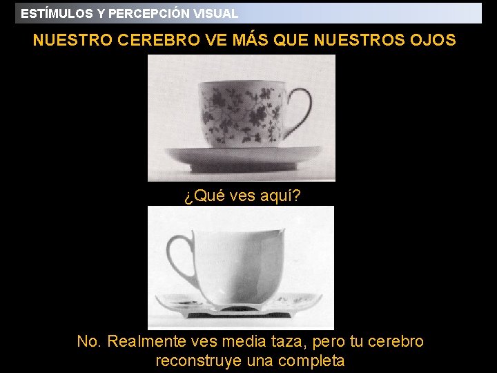 ESTÍMULOS Y PERCEPCIÓN VISUAL NUESTRO CEREBRO VE MÁS QUE NUESTROS OJOS ¿Qué ves aquí? ESTÍMULOS Y PERCEPCIÓN VISUAL NUESTRO CEREBRO VE MÁS QUE NUESTROS OJOS ¿Qué ves aquí?