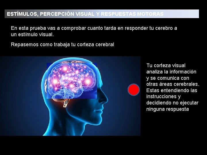 ESTÍMULOS, PERCEPCIÓN VISUAL Y RESPUESTAS MOTORAS En esta prueba vas a comprobar cuanto tarda