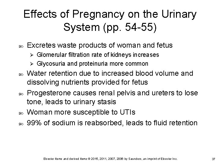 Effects of Pregnancy on the Urinary System (pp. 54 -55) Excretes waste products of