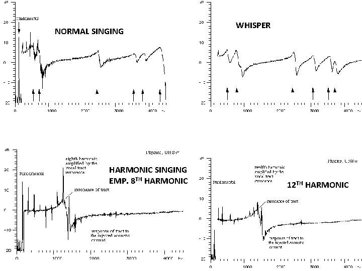 NORMAL SINGING HARMONIC SINGING EMP. 8 TH HARMONIC WHISPER 12 TH HARMONIC 