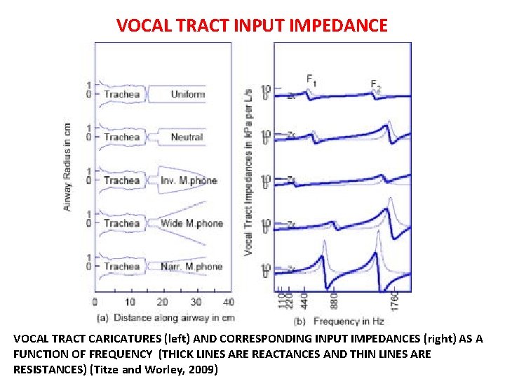 VOCAL TRACT INPUT IMPEDANCE VOCAL TRACT CARICATURES (left) AND CORRESPONDING INPUT IMPEDANCES (right) AS