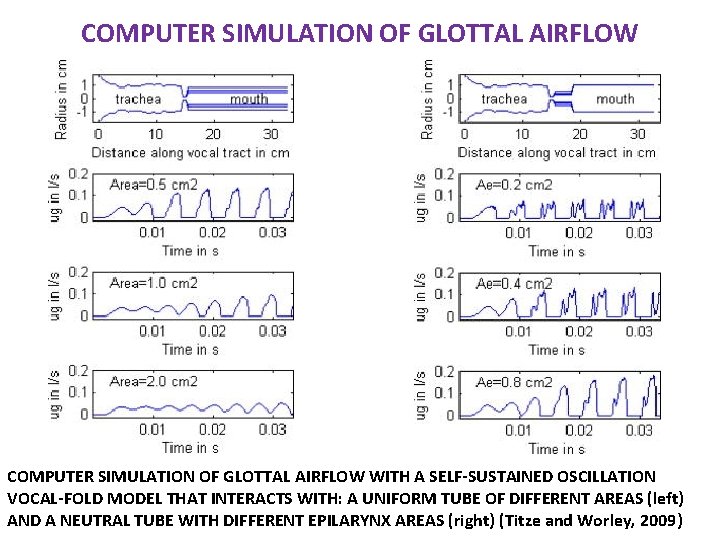 COMPUTER SIMULATION OF GLOTTAL AIRFLOW WITH A SELF-SUSTAINED OSCILLATION VOCAL-FOLD MODEL THAT INTERACTS WITH: