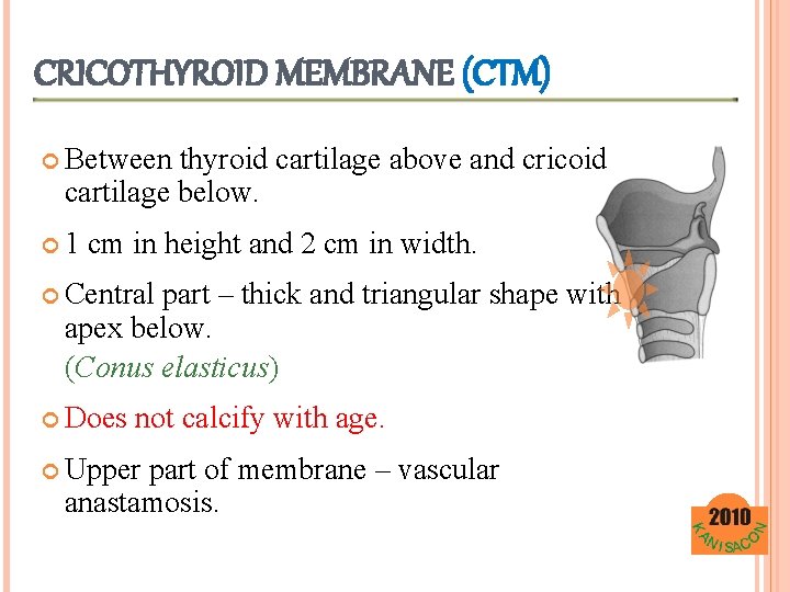 CRICOTHYROID MEMBRANE (CTM) Between thyroid cartilage above and cricoid cartilage below. 1 cm in