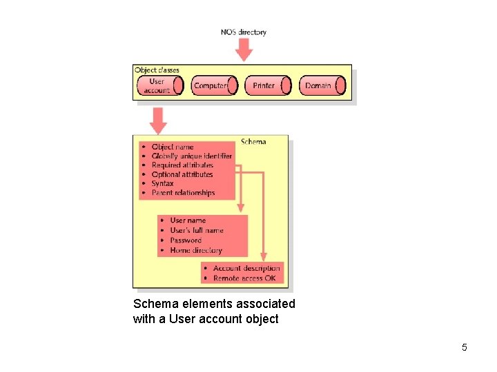 Schema elements associated with a User account object 5 