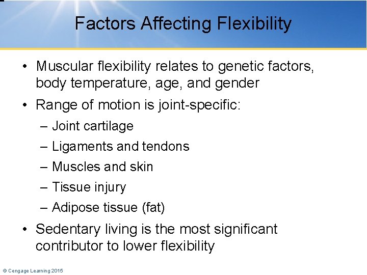 Factors Affecting Flexibility • Muscular flexibility relates to genetic factors, body temperature, age, and