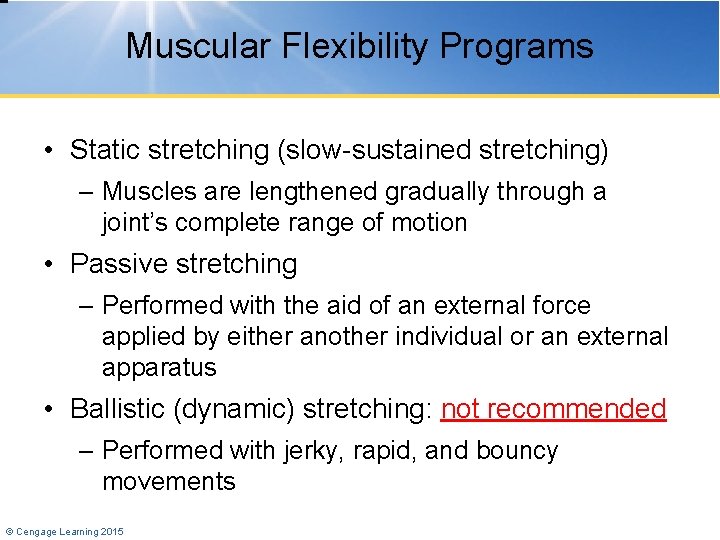 Muscular Flexibility Programs • Static stretching (slow-sustained stretching) – Muscles are lengthened gradually through