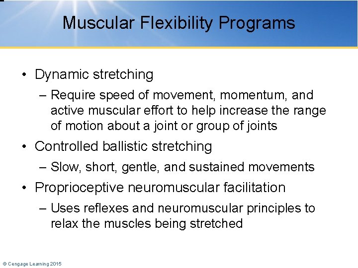 Muscular Flexibility Programs • Dynamic stretching – Require speed of movement, momentum, and active