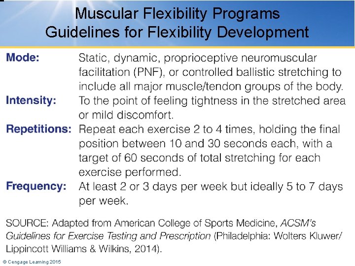 Muscular Flexibility Programs Guidelines for Flexibility Development © Cengage Learning 2015 