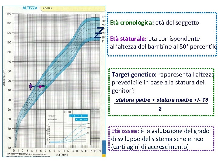 Età cronologica: età del soggetto Età staturale: età corrispondente all’altezza del bambino al 50°