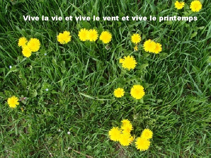 Vive la vie et vive le vent et vive le printemps 