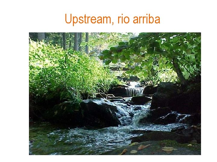 Upstream, rio arriba 