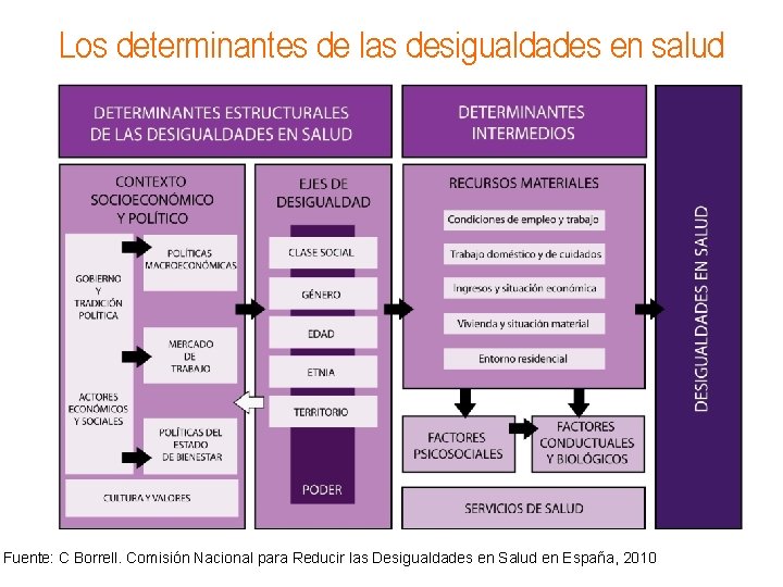 Los determinantes de las desigualdades en salud Fuente: C Borrell. Comisión Nacional para Reducir