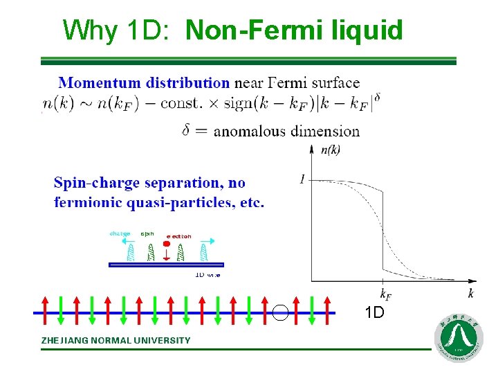 Why 1 D: Non-Fermi liquid 1 D 