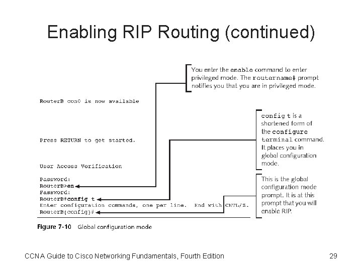 Enabling RIP Routing (continued) CCNA Guide to Cisco Networking Fundamentals, Fourth Edition 29 