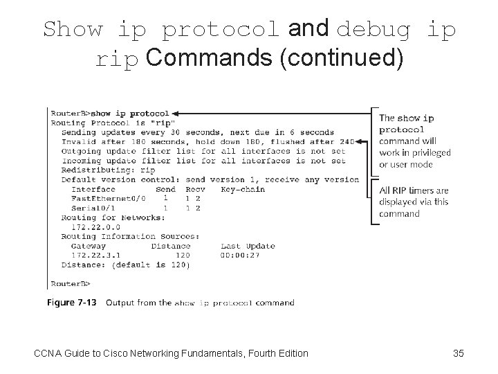 Show ip protocol and debug ip rip Commands (continued) CCNA Guide to Cisco Networking