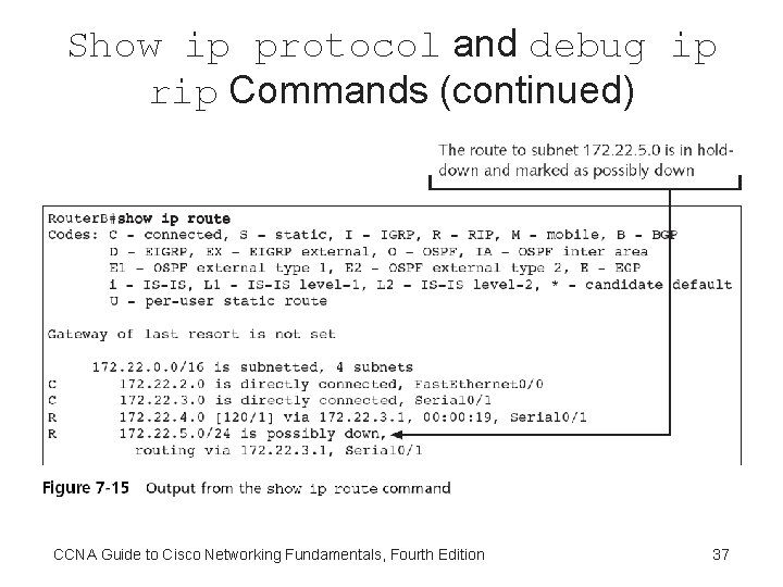 Show ip protocol and debug ip rip Commands (continued) CCNA Guide to Cisco Networking