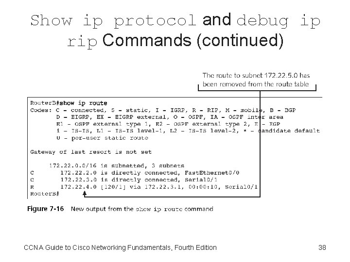 Show ip protocol and debug ip rip Commands (continued) CCNA Guide to Cisco Networking