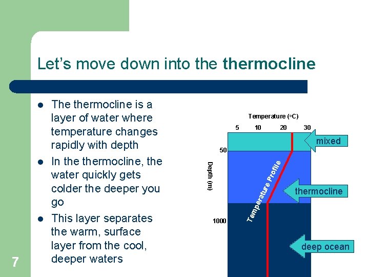 Let’s move down into thermocline l 7 Temperature (o. C) 5 10 20 30