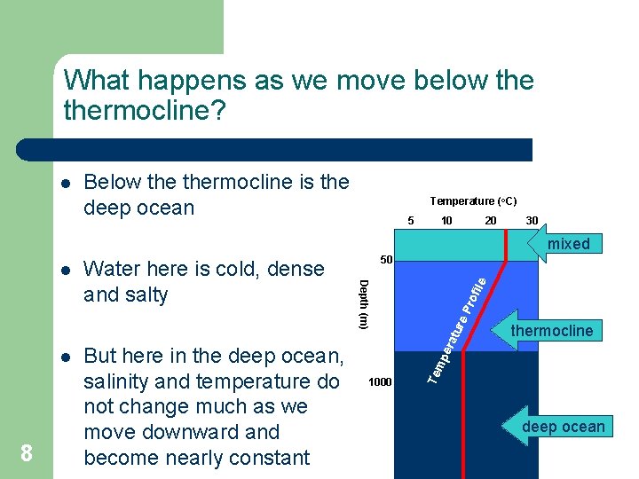 What happens as we move below thermocline? l Below thermocline is the deep ocean