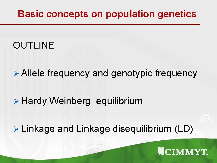 Basic concepts on population genetics OUTLINE Ø Allele frequency and genotypic frequency Ø Hardy