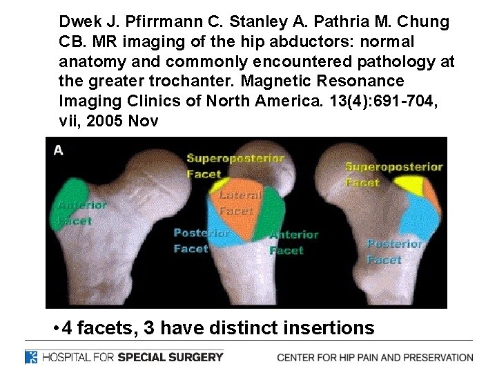 Dwek J. Pfirrmann C. Stanley A. Pathria M. Chung CB. MR imaging of the