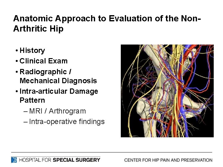 Anatomic Approach to Evaluation of the Non. Arthritic Hip • History • Clinical Exam Anatomic Approach to Evaluation of the Non. Arthritic Hip • History • Clinical Exam