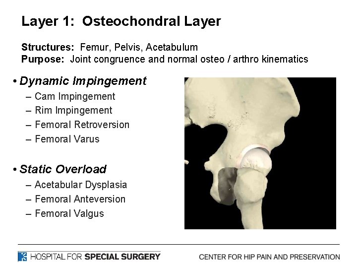 Layer 1: Osteochondral Layer Structures: Femur, Pelvis, Acetabulum Purpose: Joint congruence and normal osteo