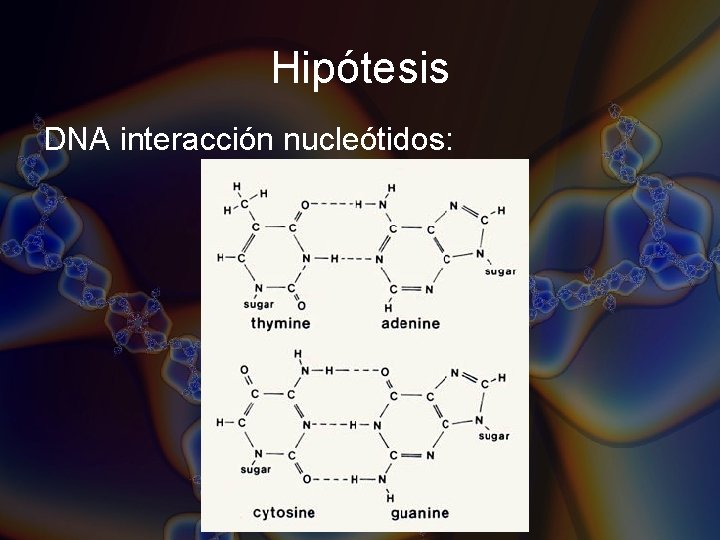 Hipótesis DNA interacción nucleótidos: Hipótesis DNA interacción nucleótidos: