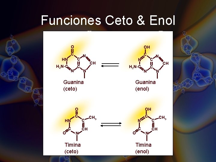 Funciones Ceto & Enol O OH C HN C H 2 N-C C N Funciones Ceto & Enol O OH C HN C H 2 N-C C N