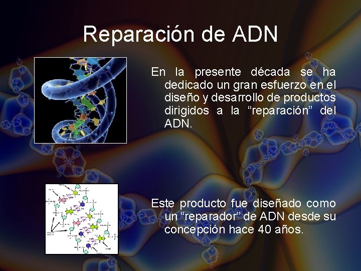 Reparación de ADN En la presente década se ha dedicado un gran esfuerzo en Reparación de ADN En la presente década se ha dedicado un gran esfuerzo en