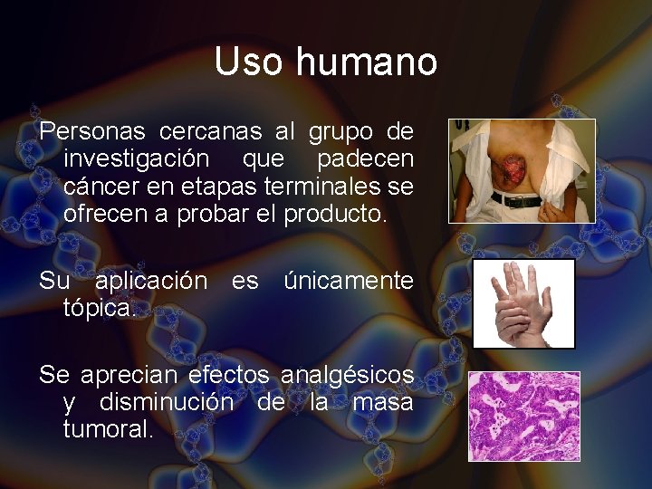 Uso humano Personas cercanas al grupo de investigación que padecen cáncer en etapas terminales Uso humano Personas cercanas al grupo de investigación que padecen cáncer en etapas terminales