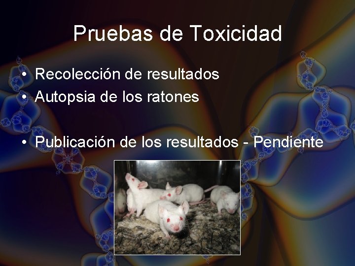 Pruebas de Toxicidad • Recolección de resultados • Autopsia de los ratones • Publicación Pruebas de Toxicidad • Recolección de resultados • Autopsia de los ratones • Publicación