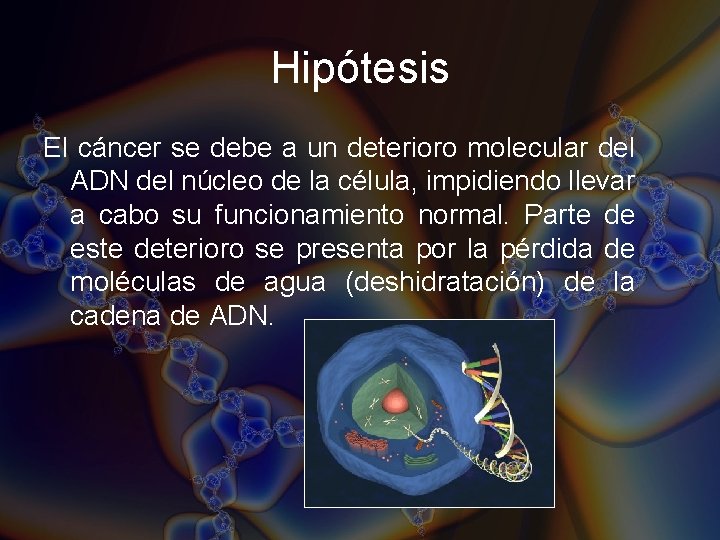 Hipótesis El cáncer se debe a un deterioro molecular del ADN del núcleo de Hipótesis El cáncer se debe a un deterioro molecular del ADN del núcleo de