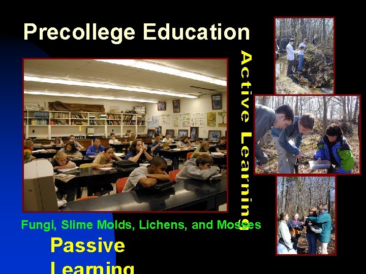 Precollege Education Fungi, Slime Molds, Lichens, and Mosses Passive 