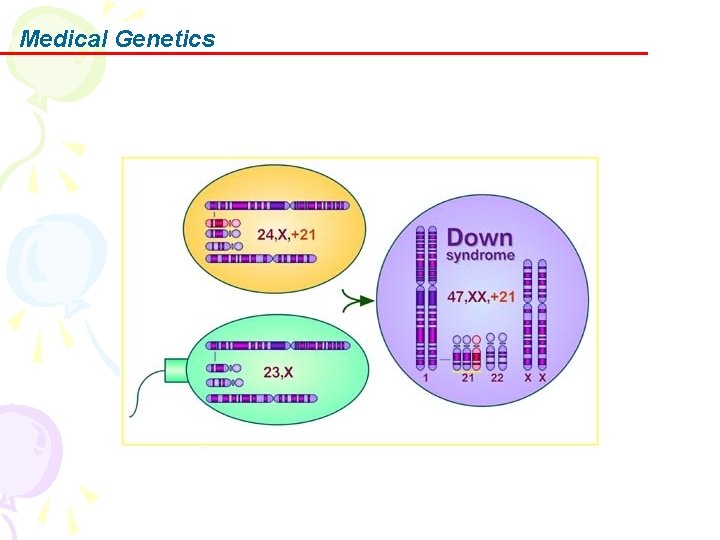 Medical Genetics 