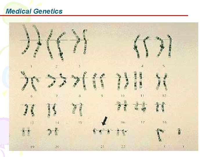 Medical Genetics 