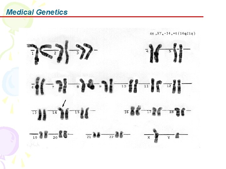 Medical Genetics 