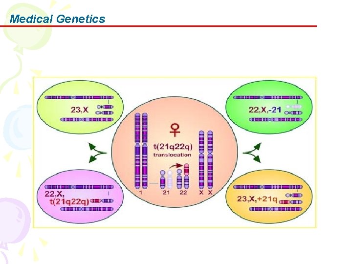 Medical Genetics 