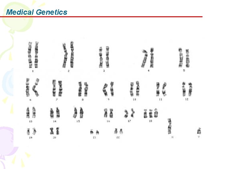 Medical Genetics 