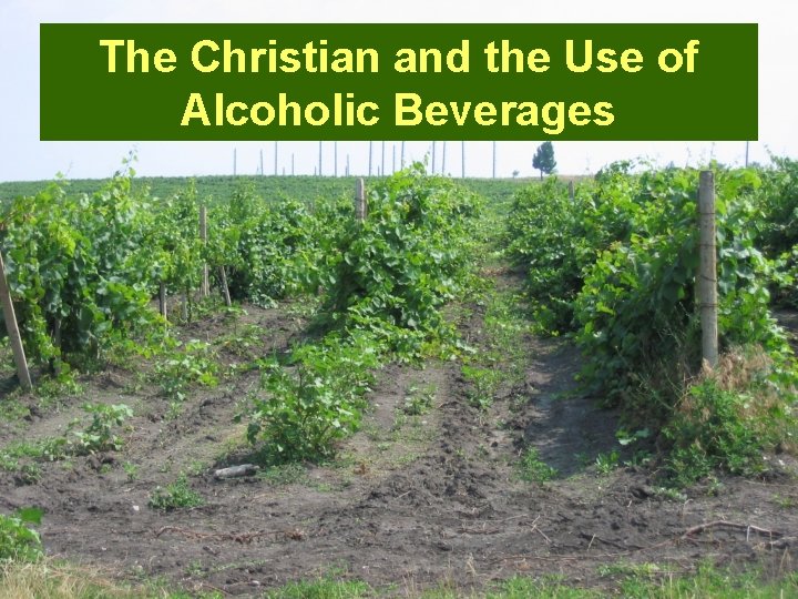 The Christian and the Use of Alcoholic Beverages 