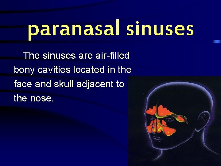 paranasal sinuses The sinuses are air-filled bony cavities located in the face and skull