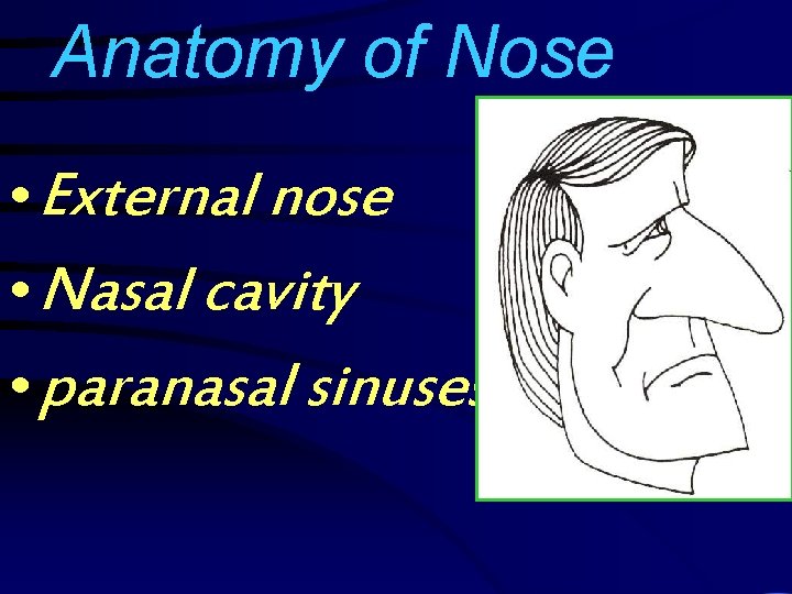 Anatomy of Nose • External nose • Nasal cavity • paranasal sinuses 