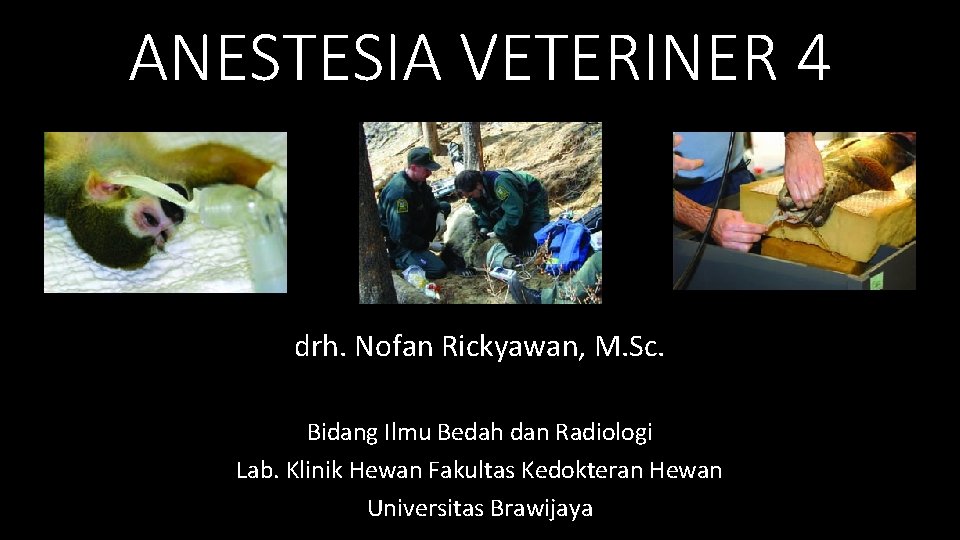 ANESTESIA VETERINER 4 drh. Nofan Rickyawan, M. Sc. Bidang Ilmu Bedah dan Radiologi Lab.